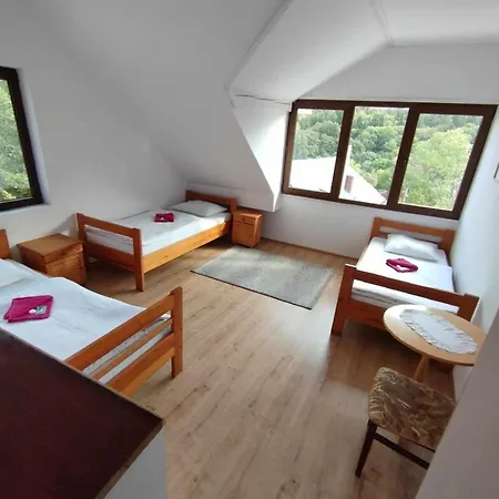 酒店 Uslugi Hotelarskie